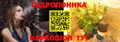 молекула духа Сланцы