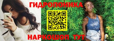 стафф Славгород